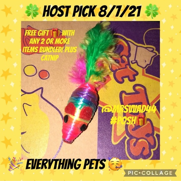 Rainbow ๐ feather tailed mouse ๐ cat toy and catnip bonus - Picture 12 of 13